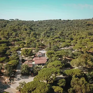 Ladouceur , Ramatuelle Francia